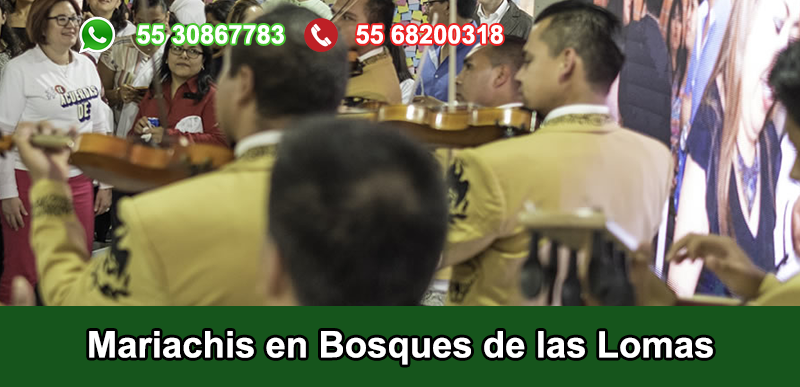 Mariachis en Bosques de las Lomas