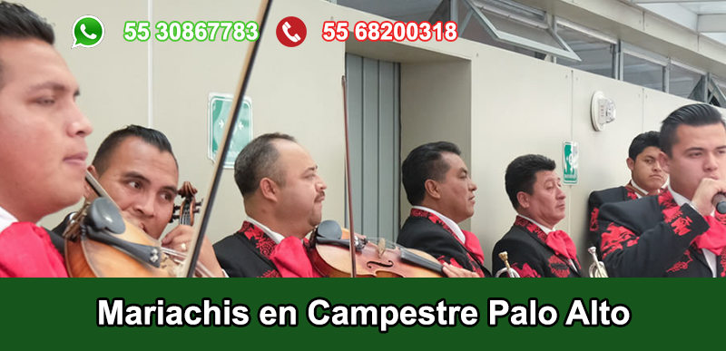 Mariachis en Campestre Palo Alto