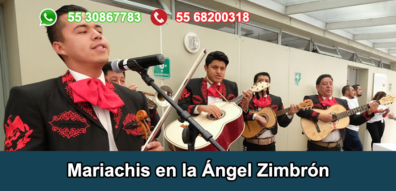 Mariachis en La Ángel Zimbron