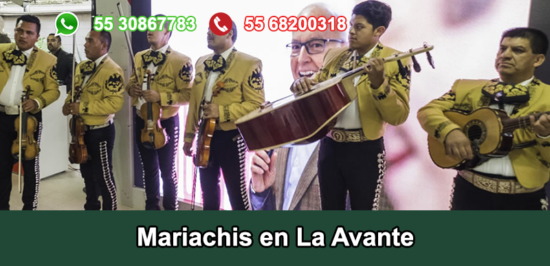 Mariachis en La Avante