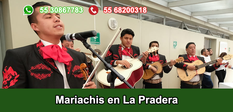 Mariachis en Colonia La Pradera