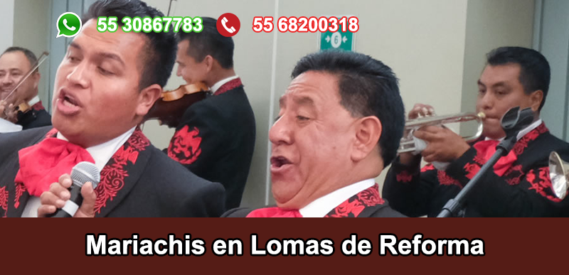 Mariachis en Lomas de Reforma